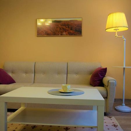 Central Comfortable One-Bedroom Apartment Kiszyniów Zewnętrze zdjęcie